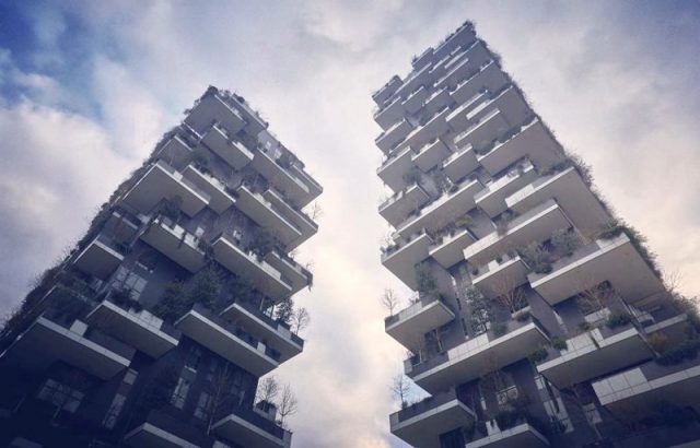Urban vertical gardens